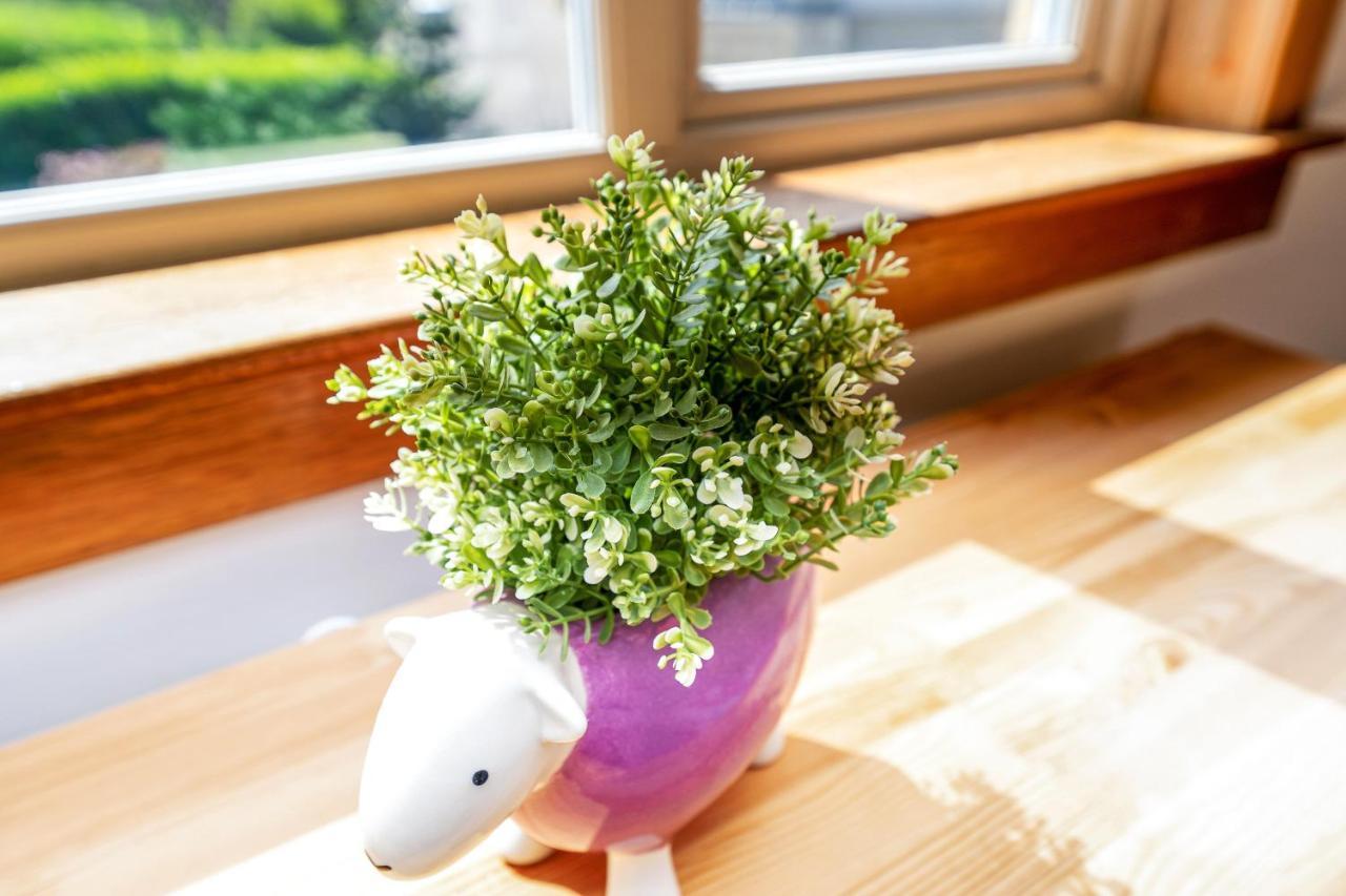 Cozy With Character Cheerful Home With Garden At Leith Links Park Edinburgh Ngoại thất bức ảnh